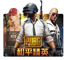 Pubg - IDAGENT138