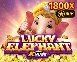 Lucky Elephant X-Huge - IDAGENT138