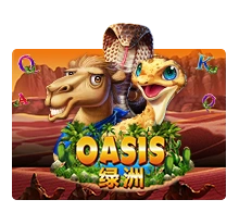 Oasis - IDAGENT138